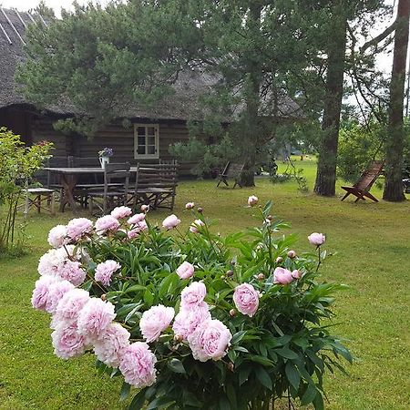 Maenni Summerhouse Kassari Esterno foto